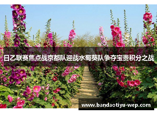 日乙联赛焦点战京都队迎战水蜀葵队争夺宝贵积分之战